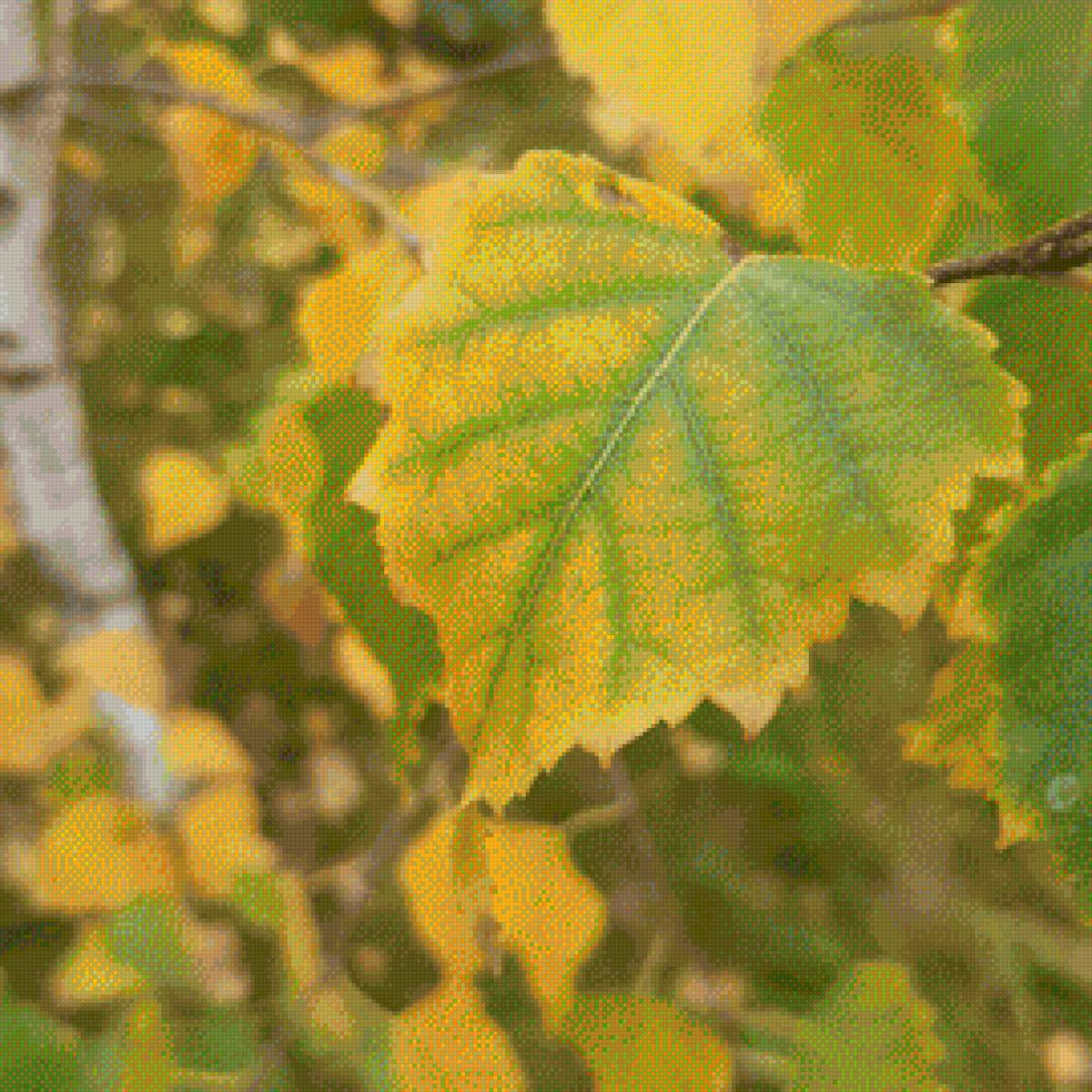 Осень - природа, картина, листья деревьев, осень - предпросмотр