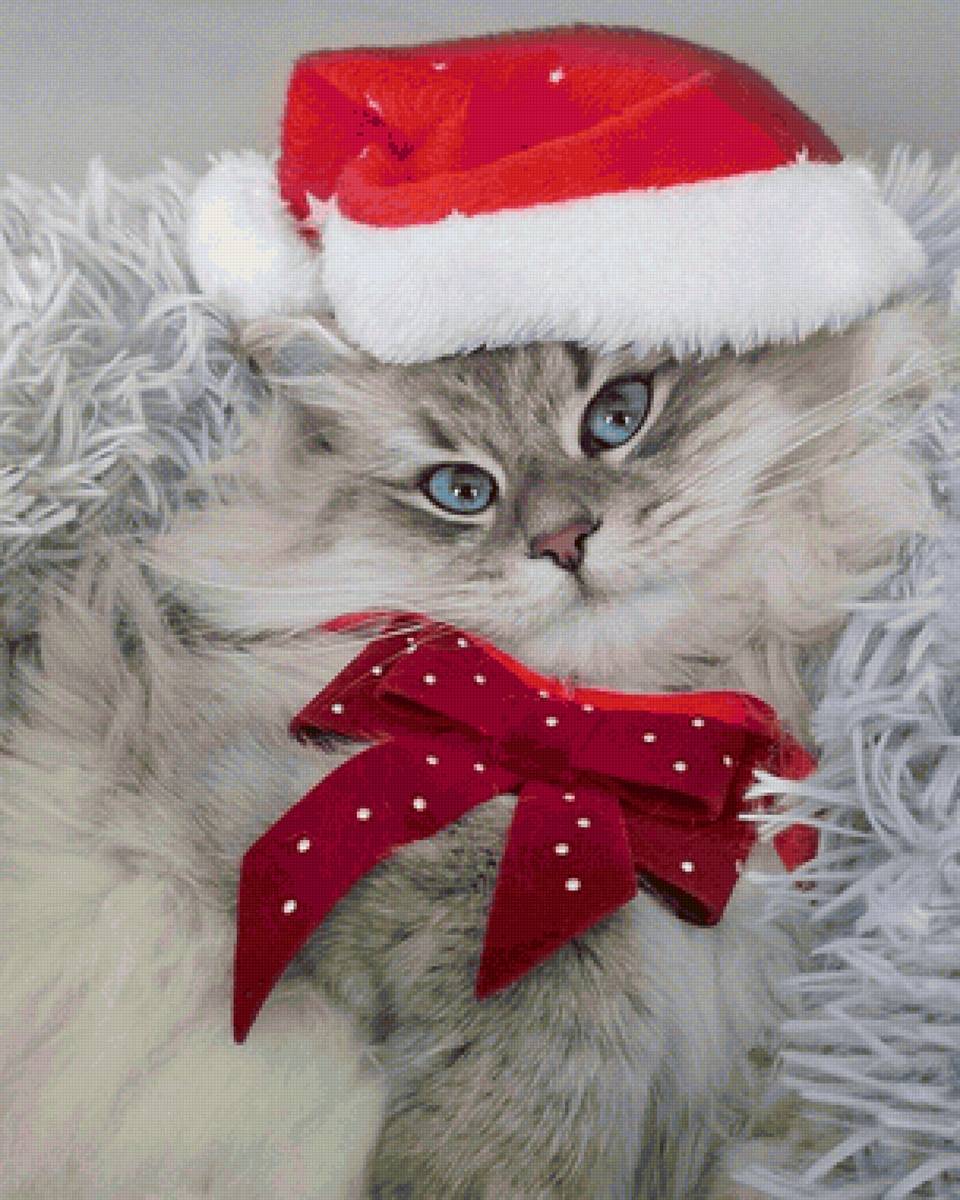 Gato. - animais. ilustração. - предпросмотр