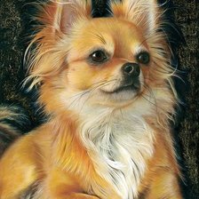 Схема вышивки «Cão»