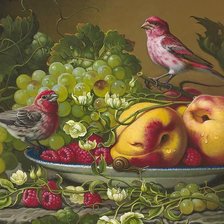 Frutas e pássaros.