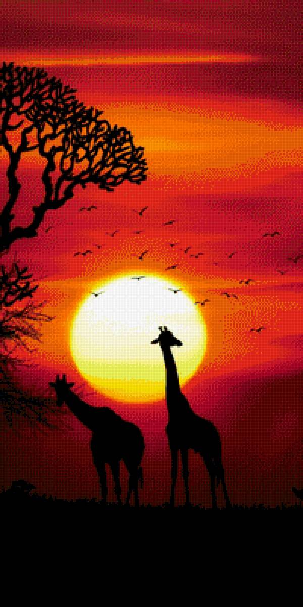 Африка - предпросмотр