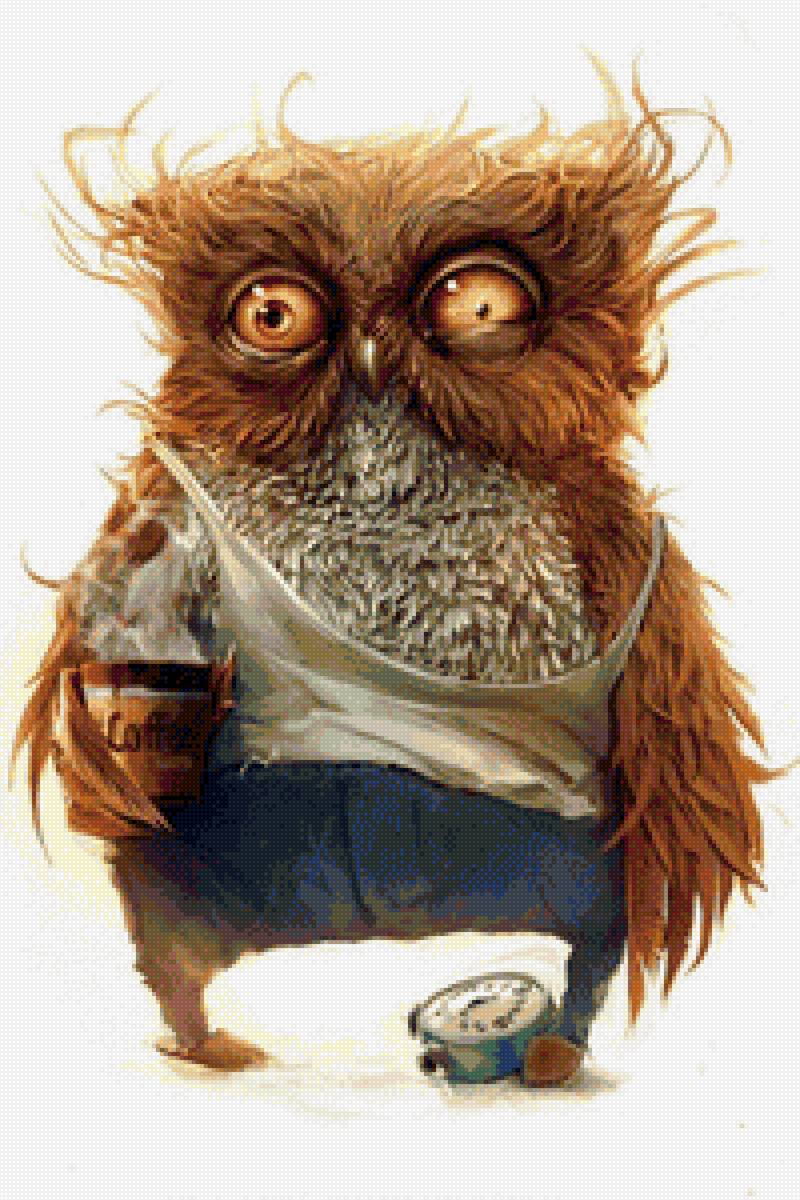 Утро начинается... - сова, забавные животные, птицы - предпросмотр