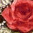 Предпросмотр схемы вышивки «Розы у окна» (№2265190)