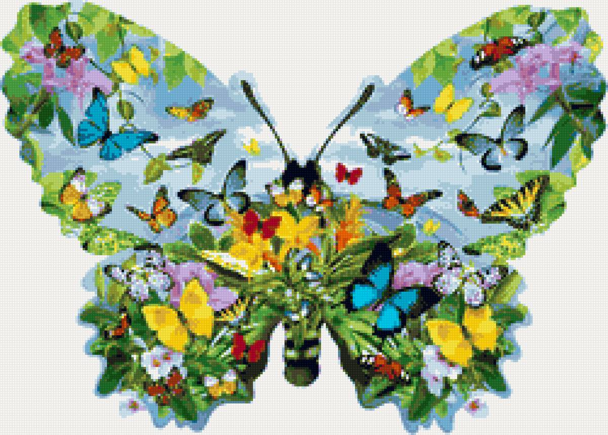 Бабочка - бабочки - предпросмотр