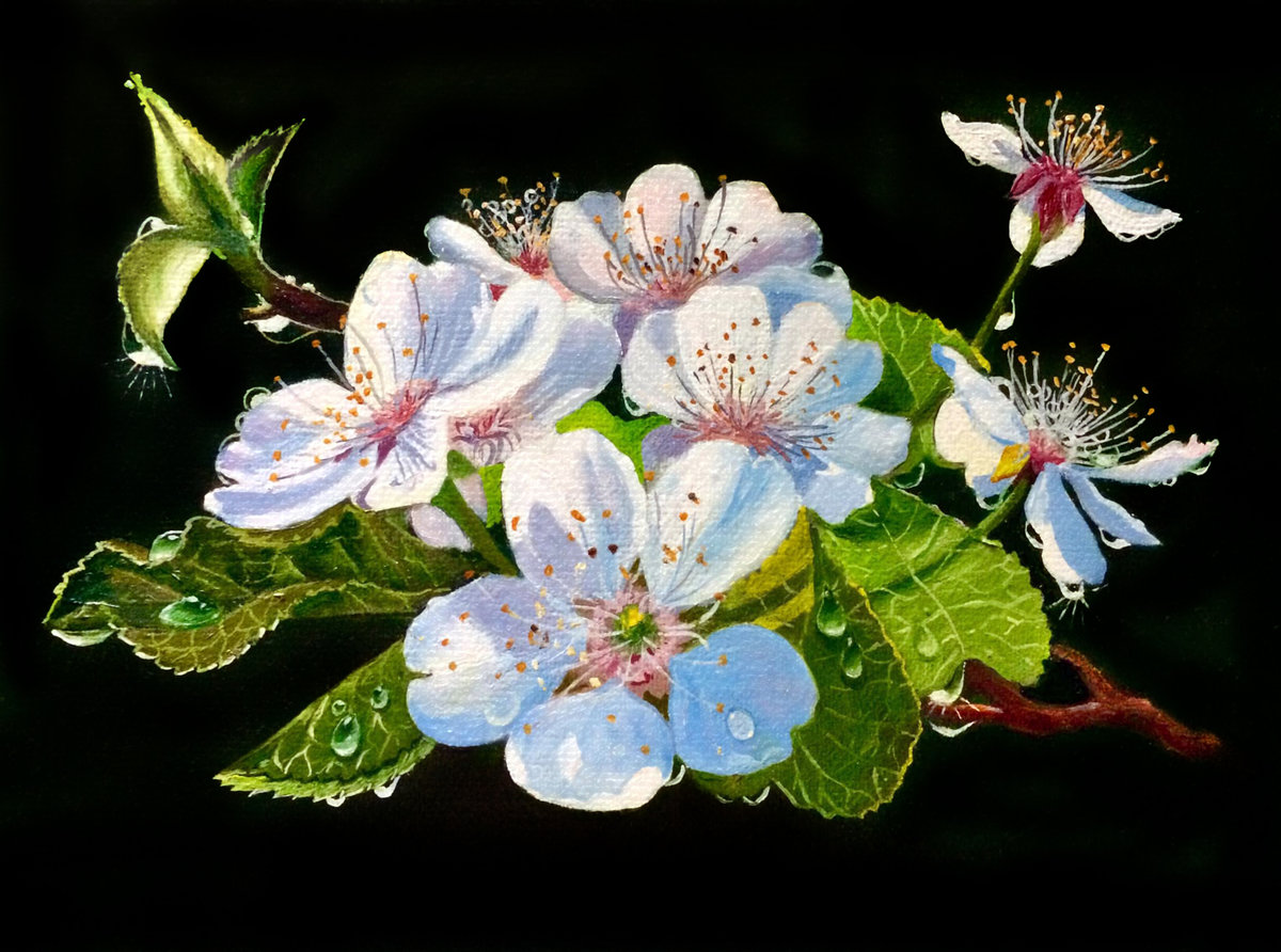 Веточка вишни 2 - цветы, букет, цветущая ветка, яблоня, вишня - оригинал