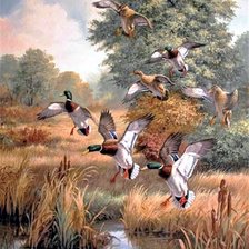 Схема вышивки «Mallards landing»