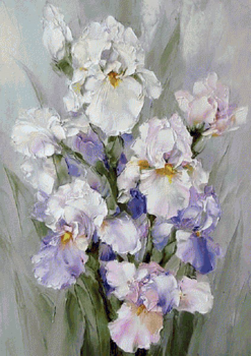 irysy - предпросмотр