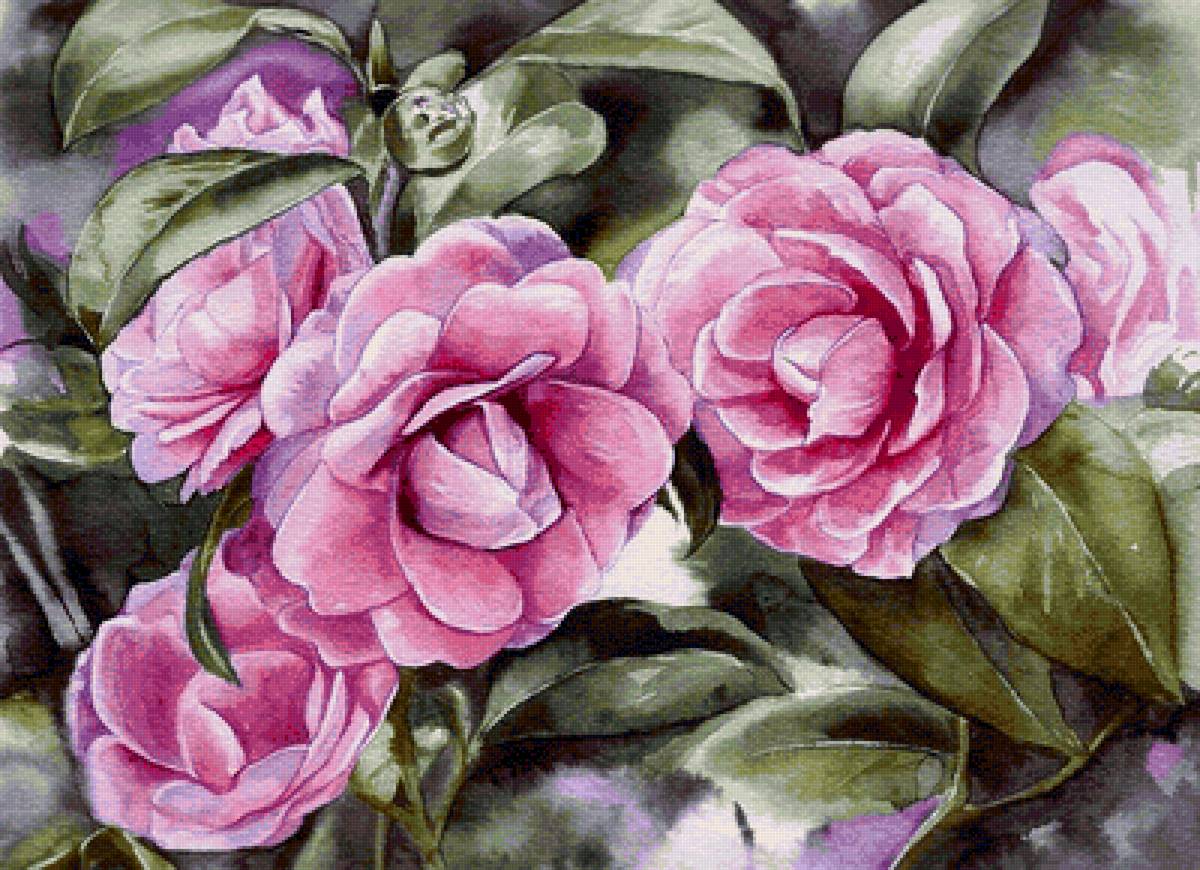 Розы - акварель - предпросмотр