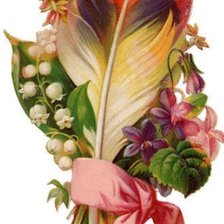 Схема вышивки «Pluma»