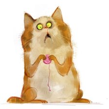 Схема вышивки «Котя»