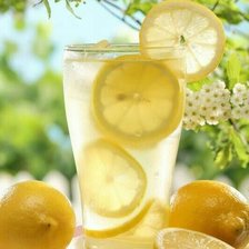 Схема вышивки «Природа»