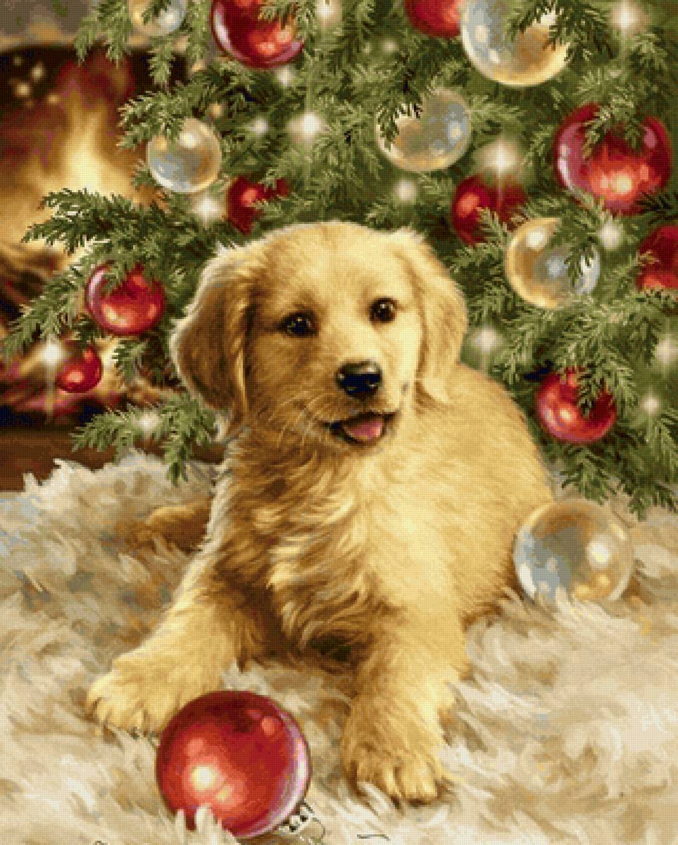 друзья - предпросмотр