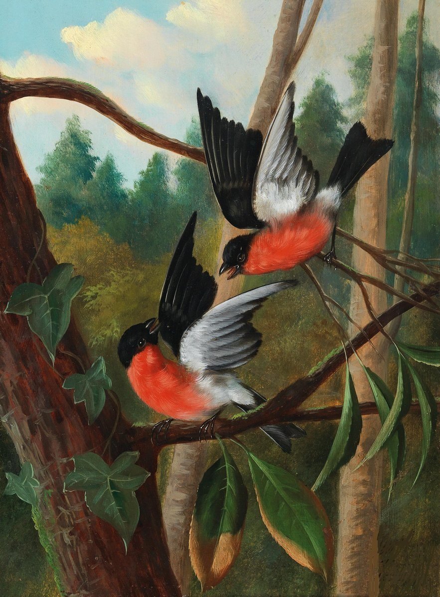 Серия "Птицы" - живопись, природа, птицы, животные - оригинал