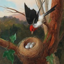 Схема вышивки «Серия "Птицы"»