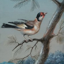 Схема вышивки «Серия "Птицы"»