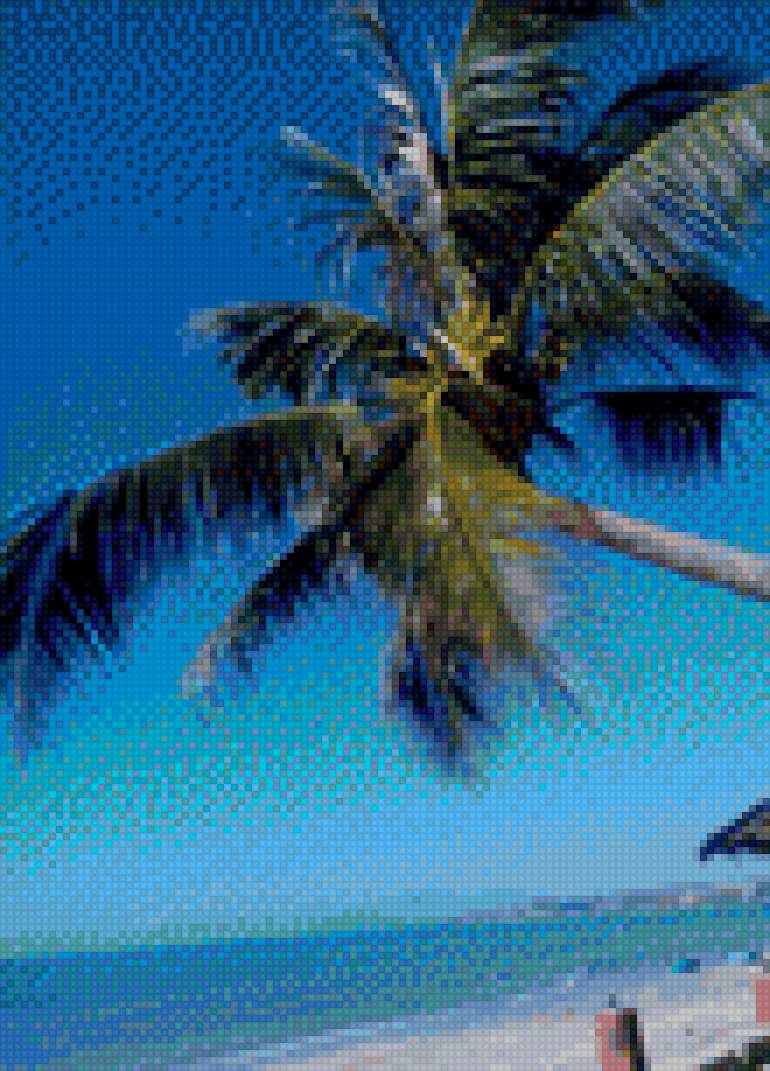 пальма - вера - предпросмотр