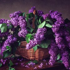 Схема вышивки «Сирень»