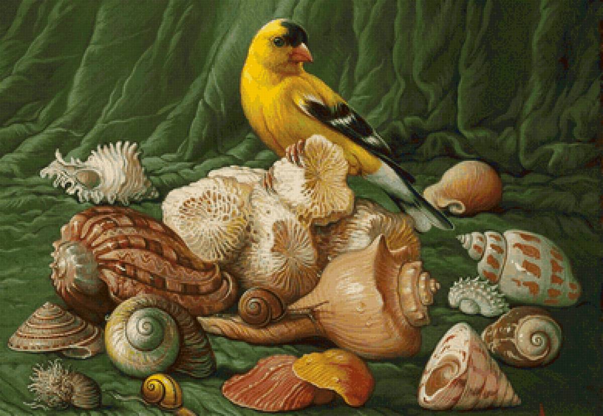 Natureza viva. - pássaro - предпросмотр