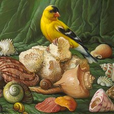 Схема вышивки «Natureza viva.»