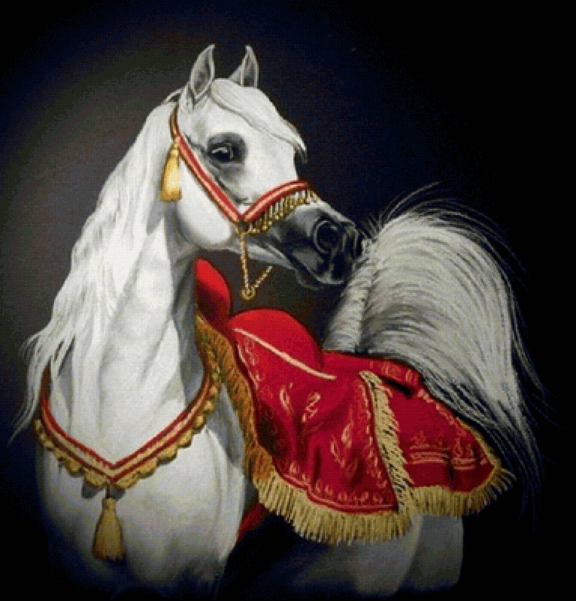 Cavalo ,árabe. - animais. - предпросмотр