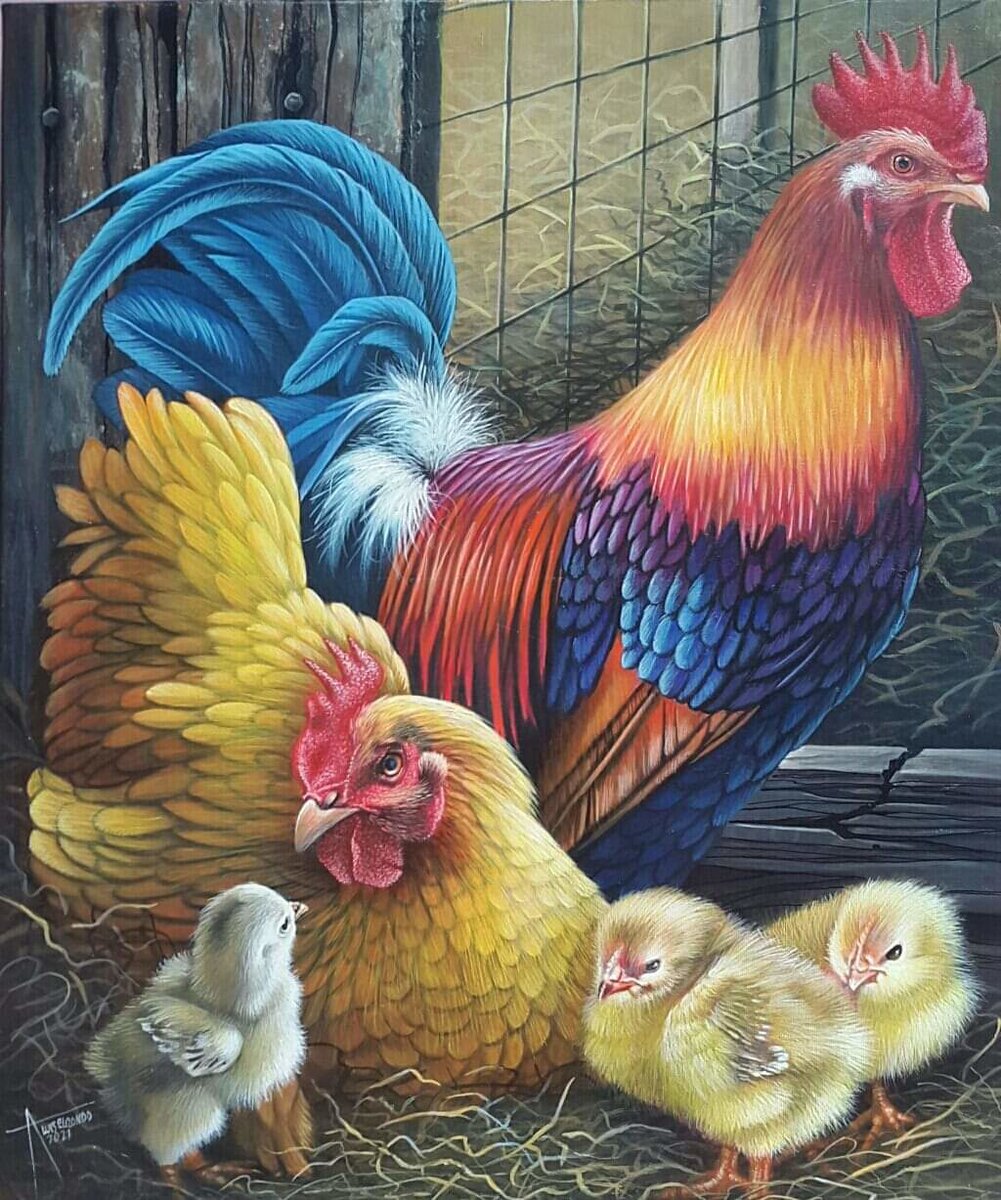 familia - corral - оригинал