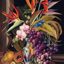 Схема вышивки «tropical»