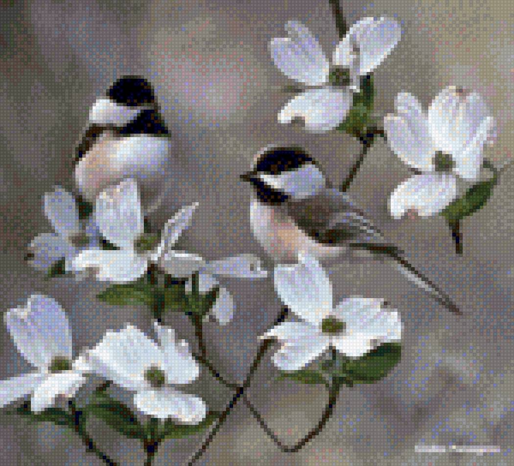 birds - предпросмотр