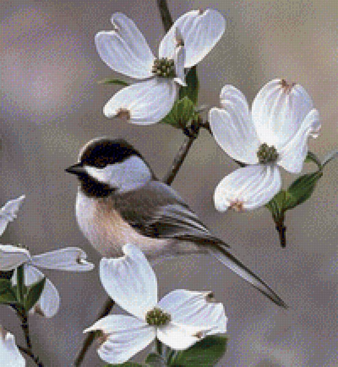 birds - предпросмотр