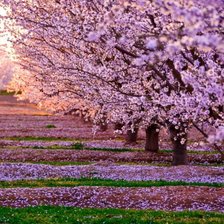 Схема вышивки «Весна»