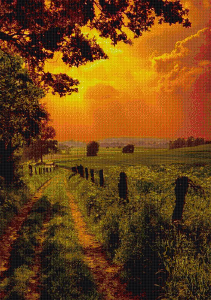 Лето - поле, лес, лето - предпросмотр