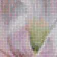 Предпросмотр схемы вышивки «Цветы акварель» (№2268432)