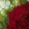 Предпросмотр схемы вышивки «Boque de flores.» (№2268450)