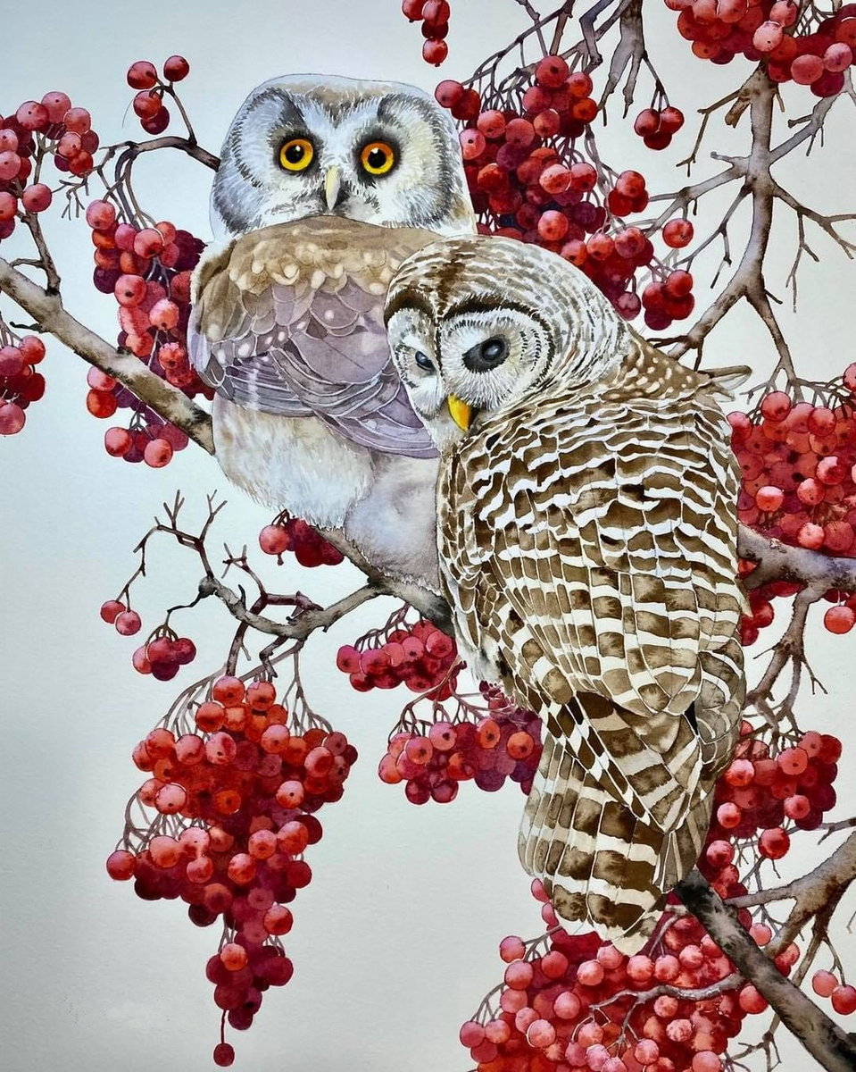 Совушки - оригинал