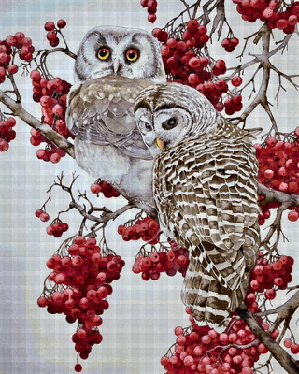 Совушки - предпросмотр