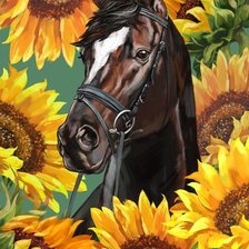 Схема вышивки «Лошадь в подсолнухах»