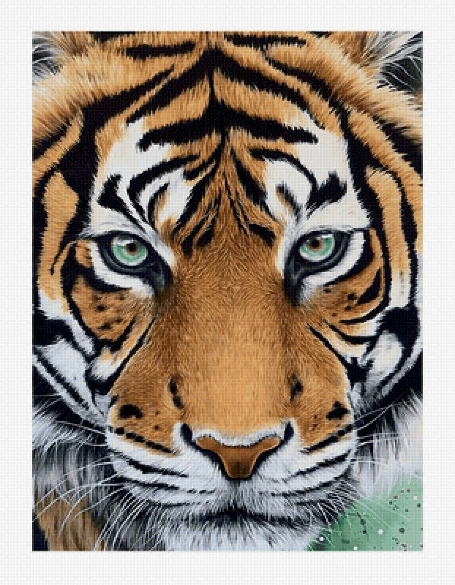 №2268955 - хищники, тигры, животные, тигр - предпросмотр