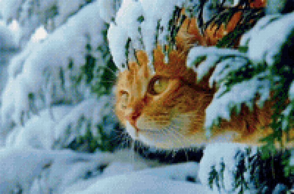 Котя - животные - предпросмотр