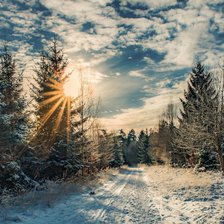 Схема вышивки «Природа»