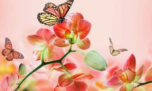 Природа - природа, лес - оригинал