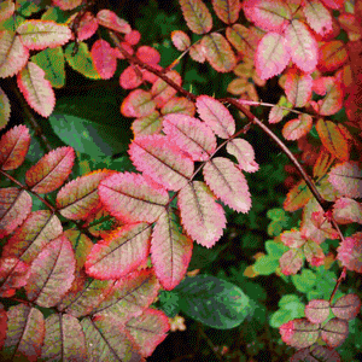 Осенние краски - осень, листья, природа - предпросмотр