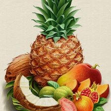 Схема вышивки «coptel»