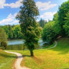 Схема вышивки «Природа»