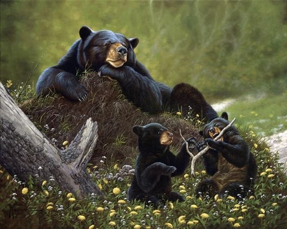медведи 2 - цветы, медведи, животные - оригинал