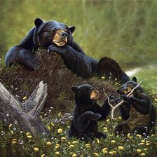 медведи 2