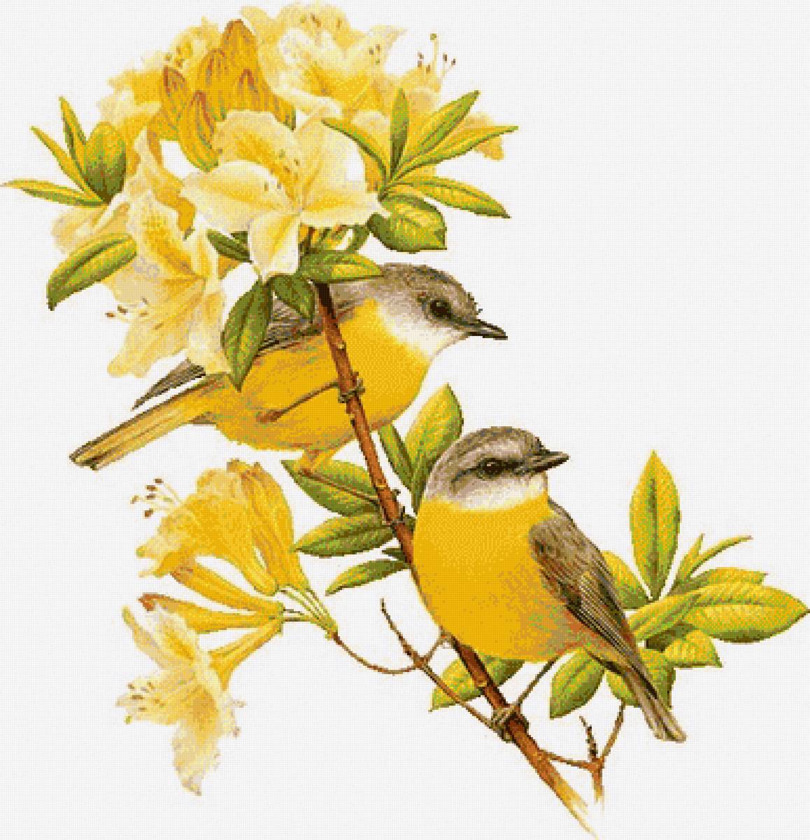 птицы - цветы, птицы, ветка - предпросмотр