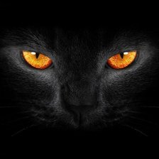 Схема вышивки «ojo de gato negro»