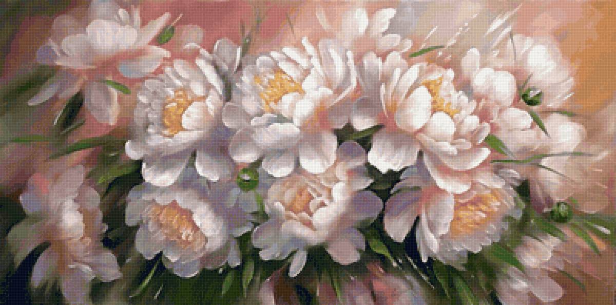 Пионы - белые, цветы, пионы - предпросмотр