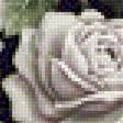 Предпросмотр схемы вышивки «Розы в нише» (№2270837)