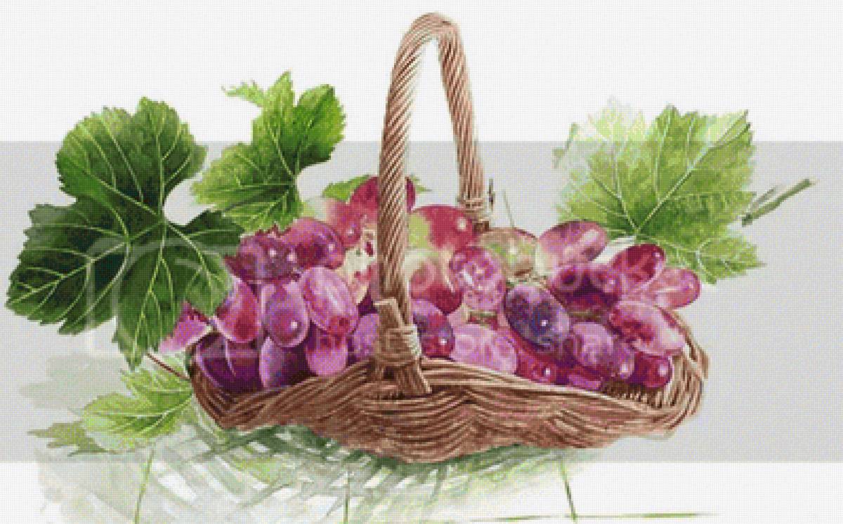 uvas - bodegon - предпросмотр