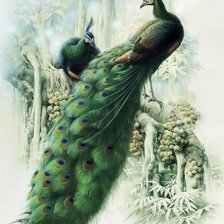 Схема вышивки «Птицы»